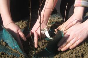 [CLUB DES SAVOIRS] JARDIN ET CHANGEMENT CLIMATIQUE